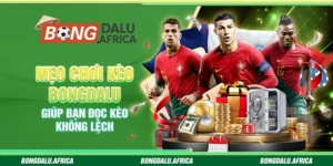 Mẹo Chơi Kèo Bongdalu - Giúp Bạn Đọc Kèo Không Lệch