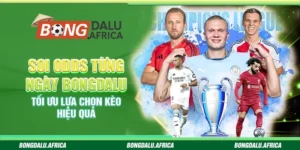 Soi Odds Từng Ngày Bongdalu - Tối Ưu Lựa Chọn Kèo Hiệu Quả