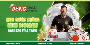 Mẹo Cược Thông Minh Bongdalu - Nâng Cao Tỷ Lệ Thắng
