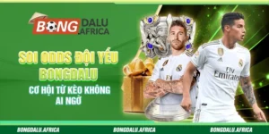 Soi Odds Đội Yếu Bongdalu - Cơ Hội Từ Kèo Không Ai Ngờ