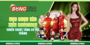 Mẹo Chọn Kèo Xiên Bongdalu – Chiến Thuật Tăng Cơ Hội Thắng