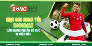 Mẹo soi odds tối bongdalu - Cẩm nang chuẩn để đọc vị trận đấu